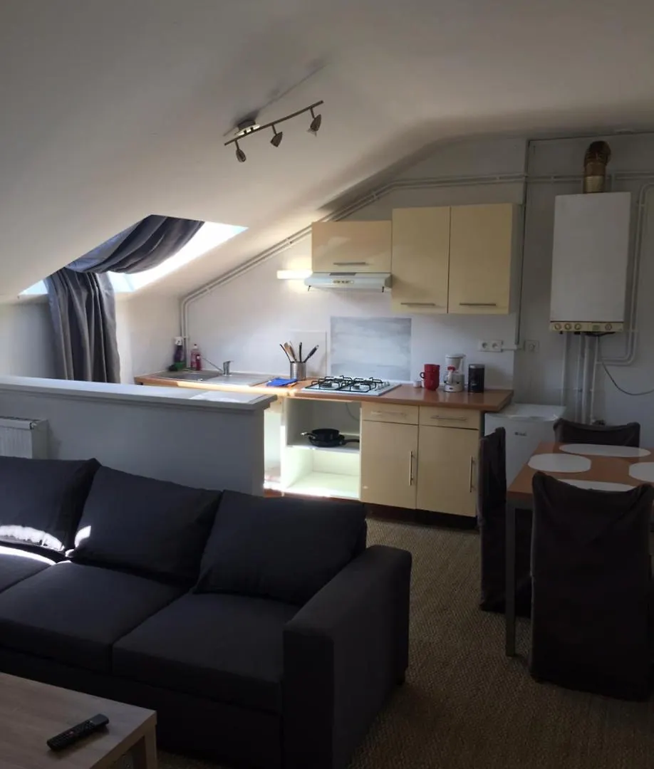 Appart Hotel Le Victor Hugo Art Mechanical Et Sa Pizza Offerte Aurillac Apartment